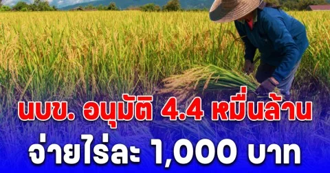 นบข. อนุมัติ 4.4 หมื่นล้าน จ่ายไร่ละ 1,000 บาท ทั้งนาปรัง-นาปี