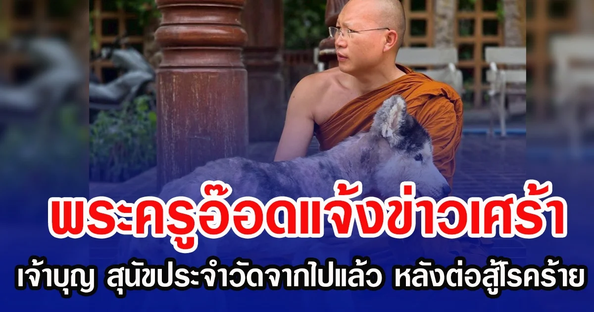 พระครูอ๊อดแจ้งข่าวเศร้า เจ้าบุญ สุนัขประจำวัดจากไปแล้ว หลังต่อสู้โรคร้ายมานาน