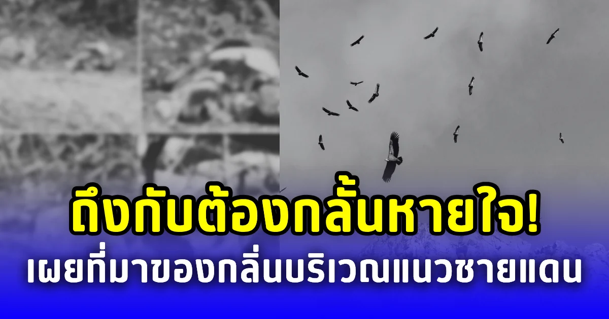 ถึงกับต้องกลั้นหายใจ! เพจดังเผยภาพ ที่มาต้นต่อของกลิ่นเหม็นเน่า คละคลุ้งบริเวณแนวชายแดน