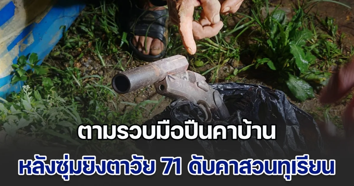 ตามรวบมือปืนคาบ้าน หลังซุ่มยิงตาวัย 71 ดับคาสวนทุเรียน