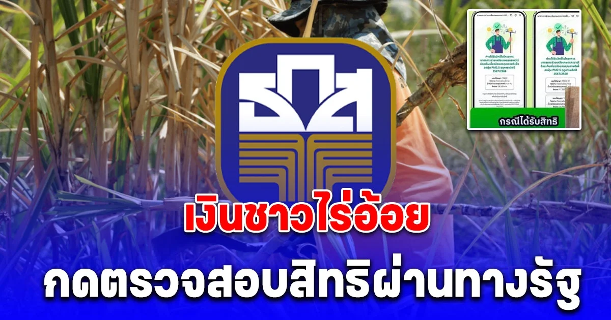 เริ่มแล้ว! เปิดขั้นตอน ตรวจสอบสิทธิและกดรับสิทธิ เงินช่วยเหลือตัดอ้อยสดได้แล้ว ผ่านแอปฯ ทางรัฐ