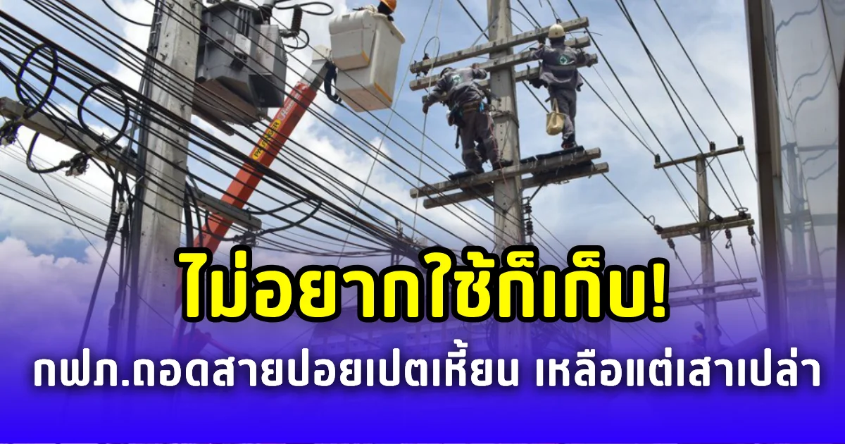 ไม่อยากใช้ก็เก็บ! กฟภ.ตัดสาย-ถอดอุปกรณ์ไฟฟ้าไปปอยเปตเหี้ยนเรียบ  เหลือแต่เสาเปล่า