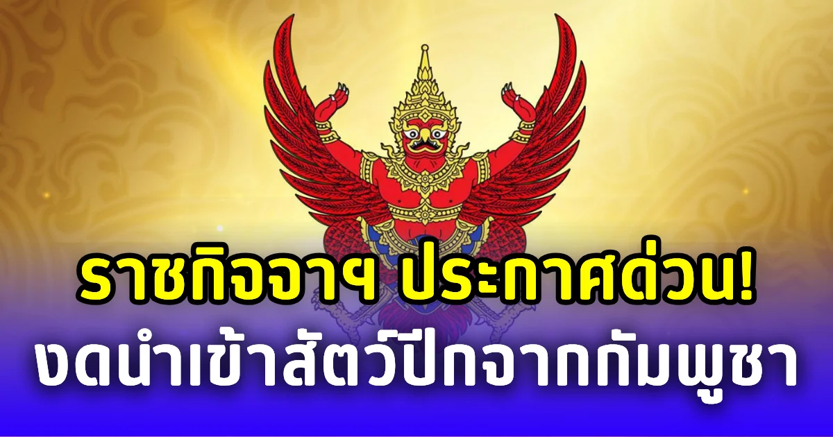 ราชกิจจาฯ ประกาศด่วน! คุมเข้มงดนำเข้าสัตว์ปีกจากกัมพูชา 3 เดือน