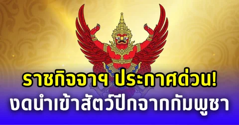 ราชกิจจาฯ ประกาศด่วน! คุมเข้มงดนำเข้าสัตว์ปีกจากกัมพูชา 3 เดือน