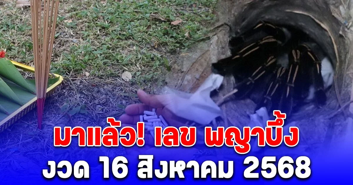 มาแล้ว! เลข พญาบึ้ง เปิดดูเห็นชัด