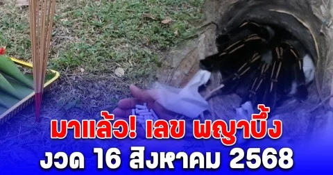 มาแล้ว! เลข พญาบึ้ง เปิดดูเห็นชัด