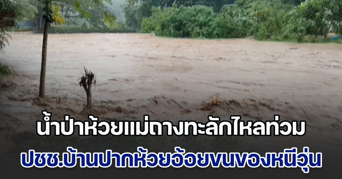 น้ำป่าห้วยแม่ถางทะลักไหลท่วม ปชช.บ้านปากห้วยอ้อยขนของหนีวุ่น