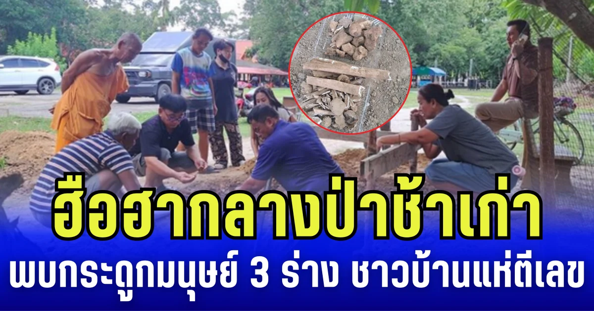 ฮือฮากลางป่าช้าเก่า คนงานขุดเจอกระดูกมนุษย์ 3 ร่าง ชาวบ้านแห่ตีเลข