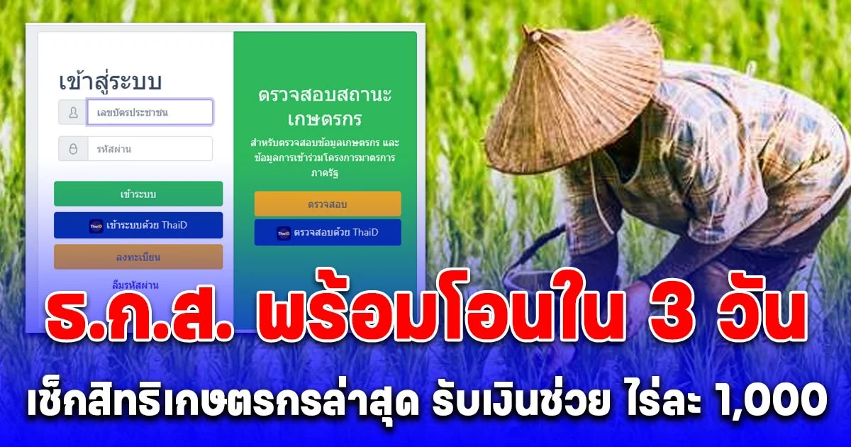 ชาวนาสิทธิเกษตรกรล่าสุด เตรียมรับเงินช่วย ไร่ละ 1,000 ธ.ก.ส. พร้อมโอนใน 3 วัน