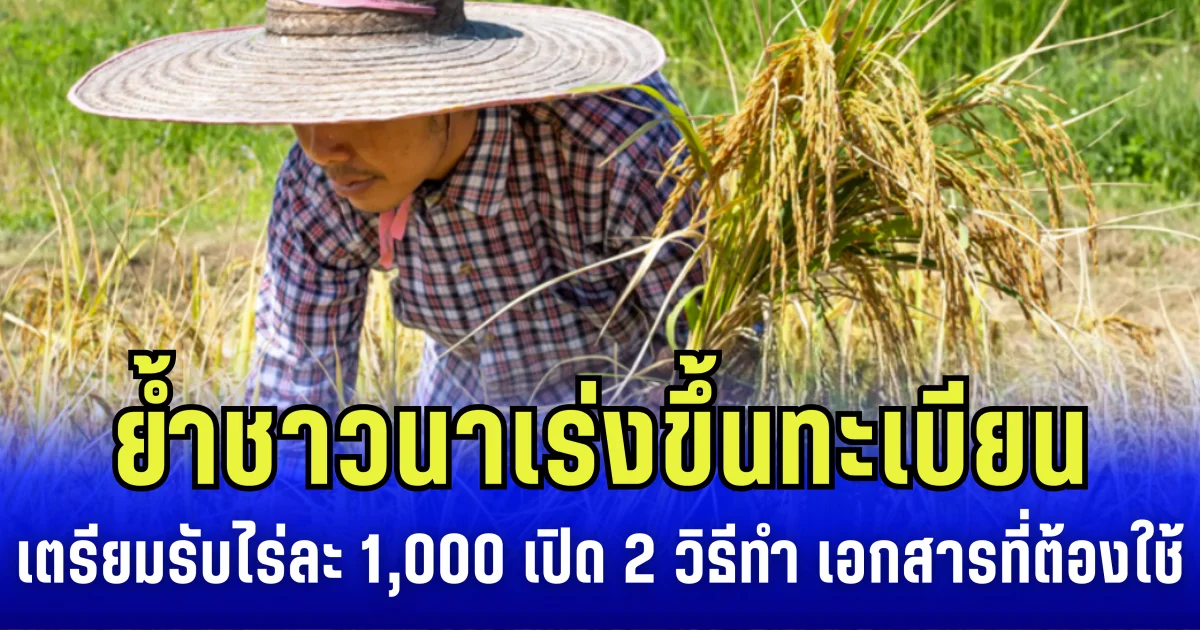รัฐบาลย้ำชาวนา เร่งขึ้นทะเบียน เตรียมรับไร่ละ 1,000 เปิด 2 วิธีทำ เอกสารที่ต้องใช้