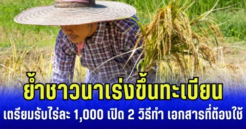 รัฐบาลย้ำชาวนา เร่งขึ้นทะเบียน เตรียมรับไร่ละ 1,000 เปิด 2 วิธีทำ เอกสารที่ต้องใช้