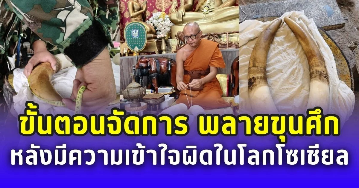 เขาใหญ่แจงชัด! ขั้นตอนจัดการ พลายขุนศึก ช้างป่าถูกไฟชอร์ต หลังมีความเข้าใจผิดในโลกโซเชียล