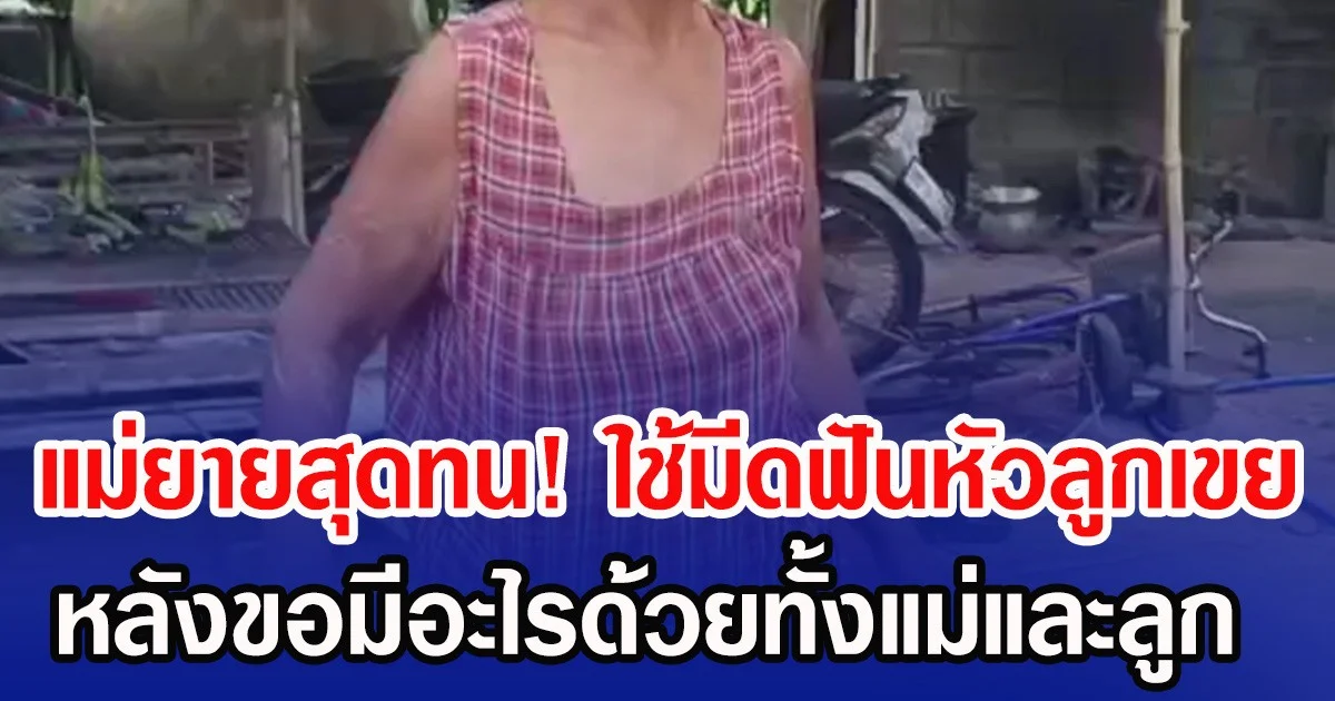 แม่ยายสุดทน! ใช้มีดฟันหัวลูกเขย หลังขอมีอะไรด้วยทั้งแม่และลูก