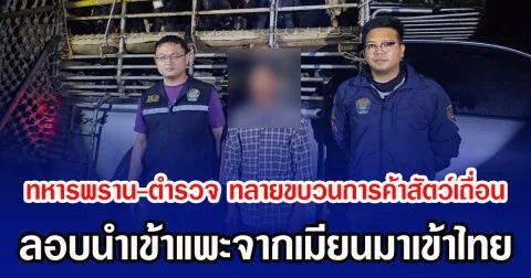 ทหารพราน-ตำรวจ ทลายขบวนการค้าสัตว์เถื่อน ลอบนำเข้าแพะจากเมียนมาเข้าไทย