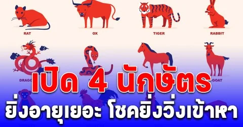 เปิด 4 นักษัตร ยิ่งอายุเยอะ โชคยิ่งวิ่งเข้าหา