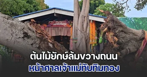 ต้นไม้ยักษ์ล้มขวางถนน หน้าศาลเจ้าแม่ทับทิมทอง