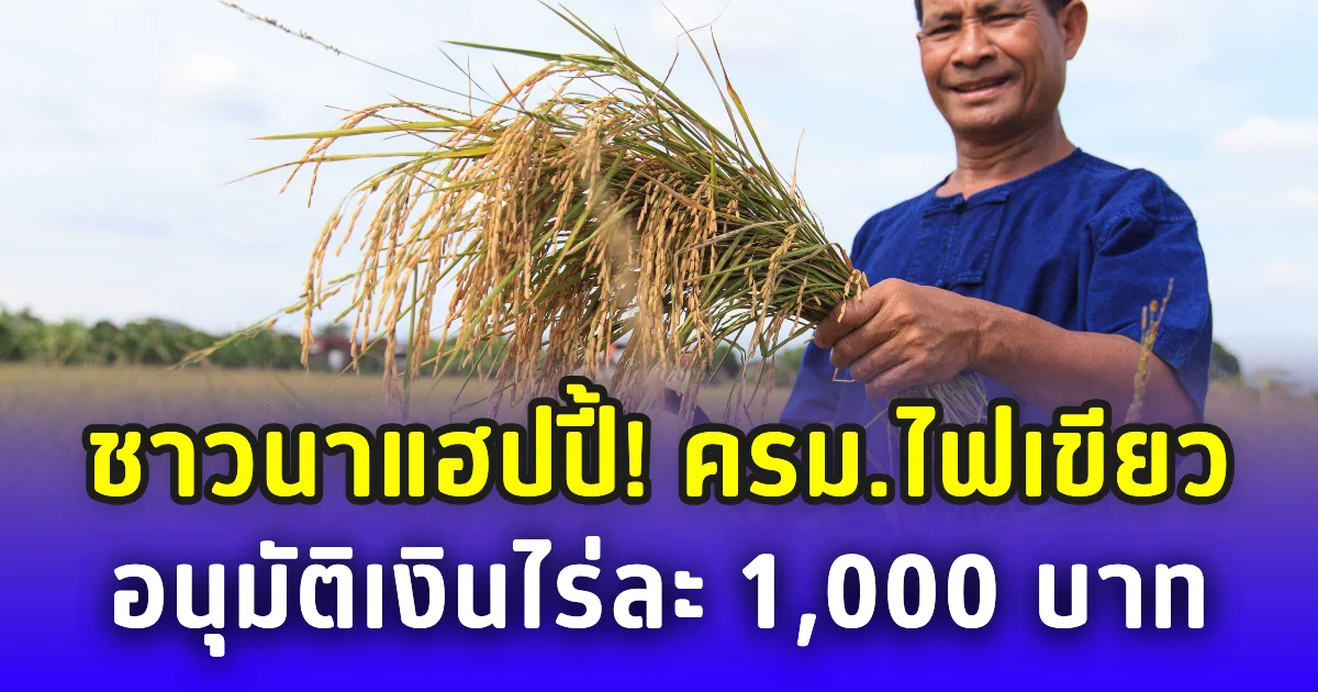 ชาวนาแฮปปี้! ครม.ไฟเขียว ช่วยข้าวนาปี-นาปรัง ไร่ละ 1,000 บาท