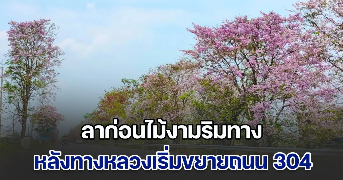 ลาก่อนไม้งามริมทาง หลังทางหลวงเริ่มขยายถนน 304 ช่วงสุดท้ายเป็น 7 เลน