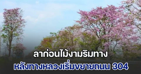 ลาก่อนไม้งามริมทาง หลังทางหลวงเริ่มขยายถนน 304 ช่วงสุดท้ายเป็น 7 เลน