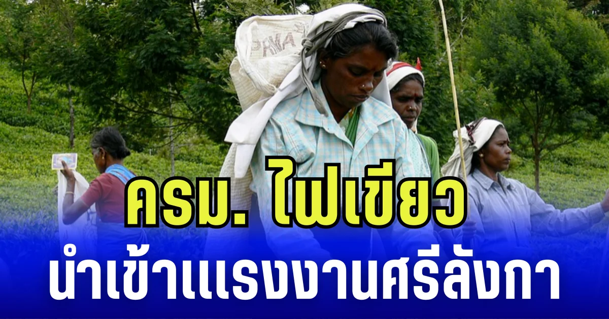ครม.ไฟเขียว นำเข้าเเเรงงานศรีลังกา ทดแทนกัมพู​ชา​ที่กลับประเทศ