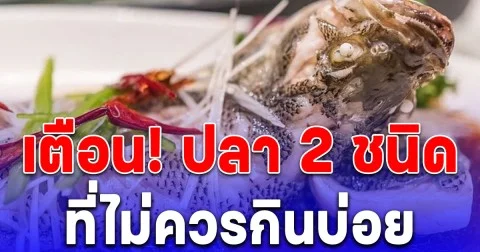 ปลา 2 ชนิด ที่ไม่ควรกินบ่อย เพราะเสี่ยงต่อการสะสมยาปฏิชีวนะและโลหะหนักในร่างกาย