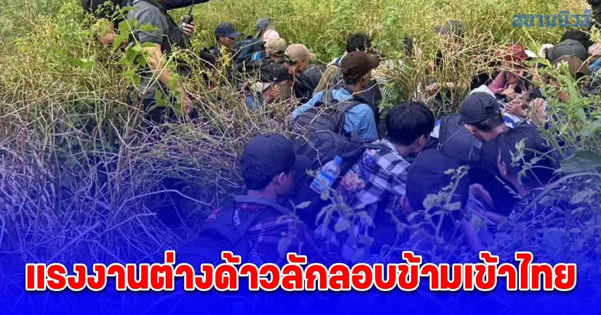จับผู้นำพาแรงงานต่างด้าวลักลอบข้ามเข้าไทย รวม 37 คน