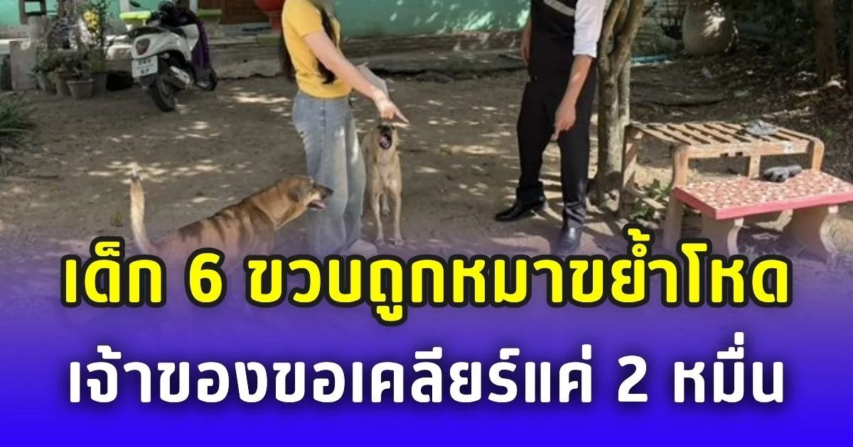 เด็ก 6 ขวบถูกหมาขย้ำโหดต่อหน้าแม่ กรี๊ดสติแตก เจ้าของบอก ขอเคลียร์แค่ 2 หมื่น
