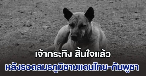 จนท.อช.เขาพระวิหาร โพสต์เศร้า เจ้ากระทิง สุนัขแสนรู้แห่งภูมะเขือ ผ่านสมรภูมิรบชายแดนไทย-กัมพูชา รอดมาได้ถึง 2 ครั้ง สิ้นใจแล้ว