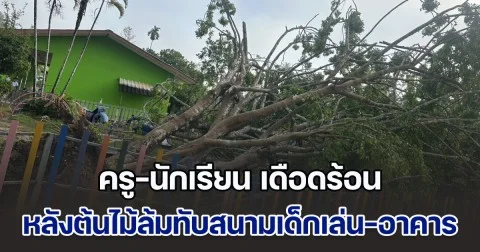 วาตภัยและอุทกภัย ทำครู-นักเรียน เดือดร้อน หลังต้นไม้ล้มทับสนามเด็กเล่น-อาคารเรียน