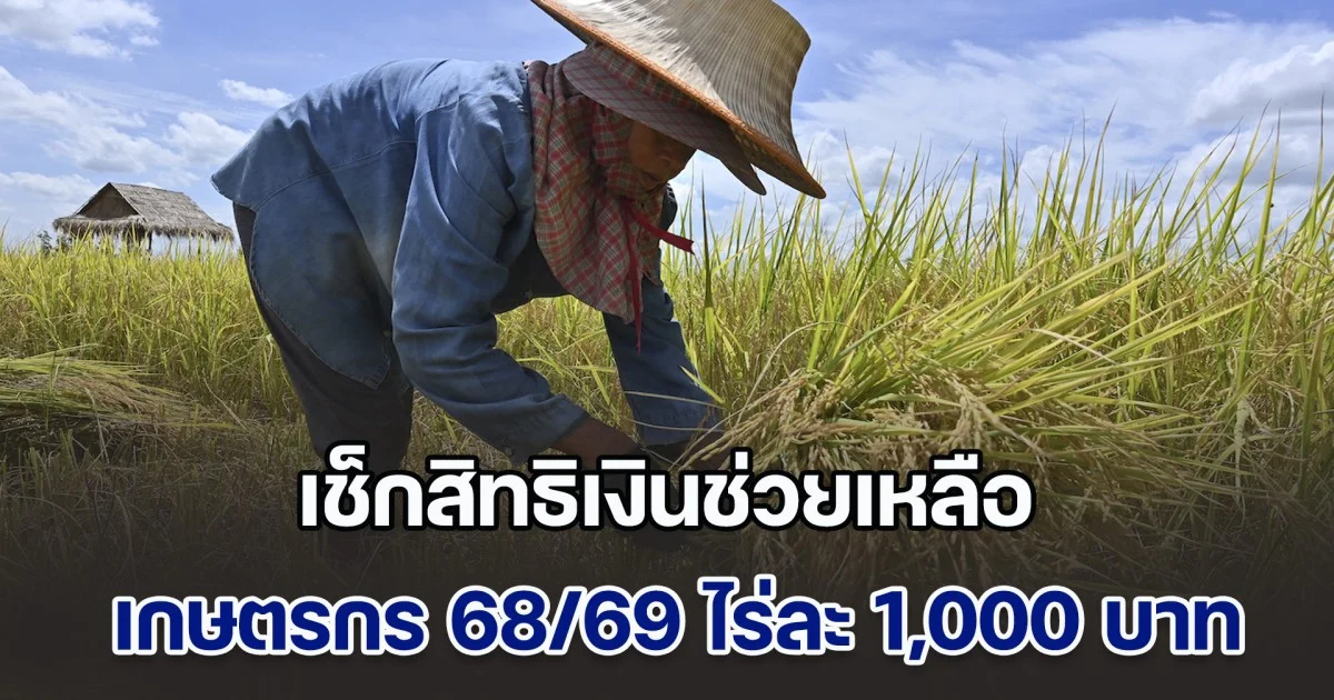 เช็กสิทธิเงินช่วยเหลือเกษตรกร 68/69 ไร่ละ 1,000 บาท เงินเข้าวันไหน