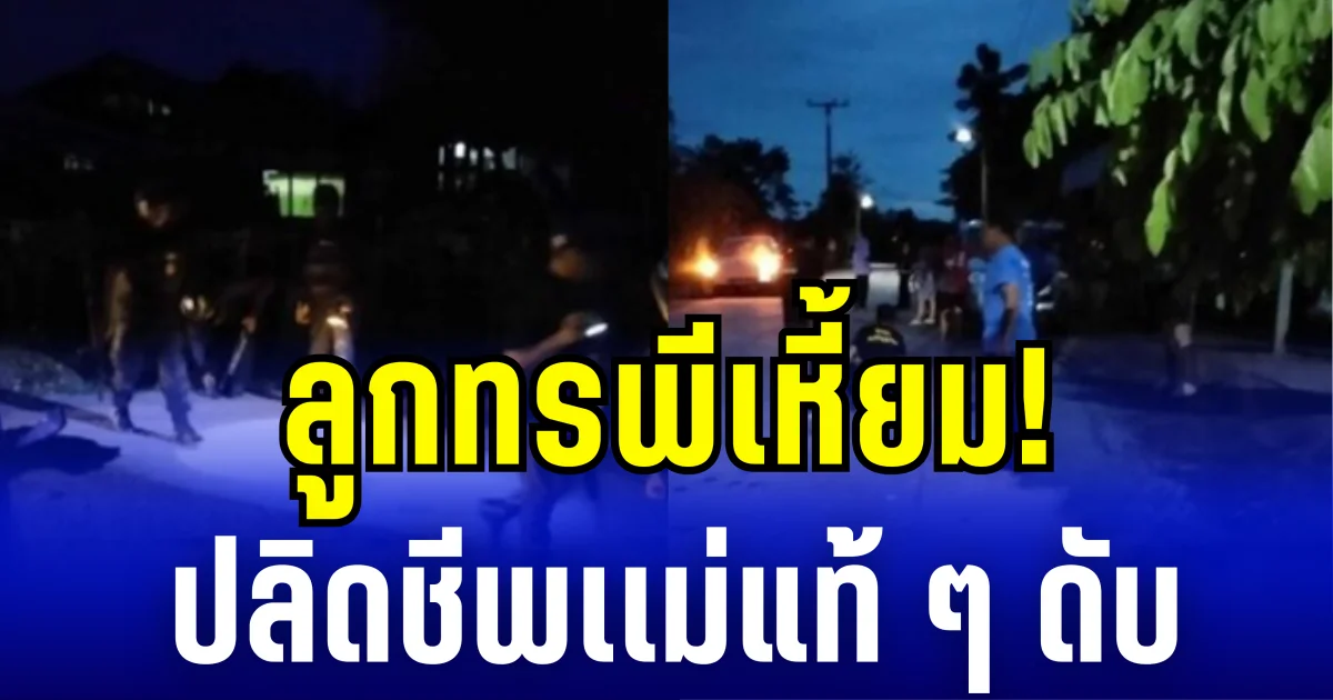 ลูกทรพีเหี้ยม! ปลิดชีพเเม่แท้ ๆ ดับ ซ้ำไล่ทำร้ายชาวบ้านสาหัสอีก 3 ราย ก่อนลงมือทำร้ายตัวเองตาม