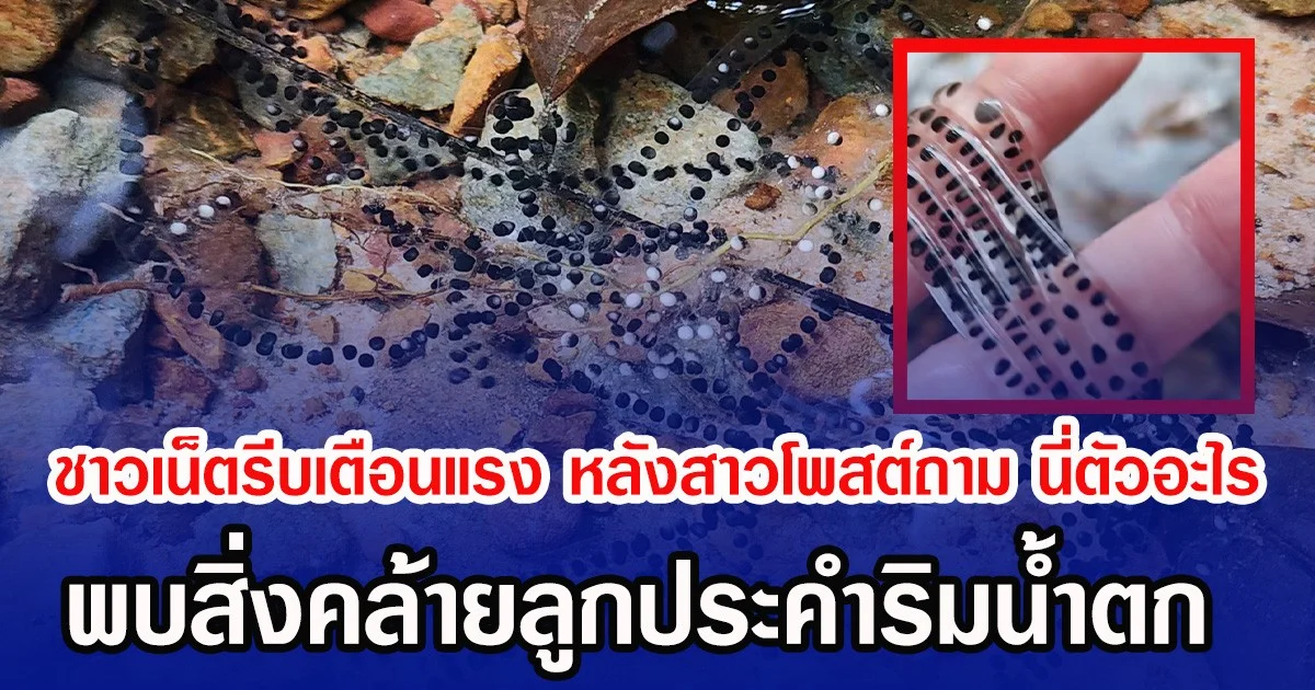 ชาวเน็ตรีบเตือนแรง หลังสาวโพสต์ถาม นี่ตัวอะไร พบสิ่งคล้ายลูกประคำริมน้ำตก