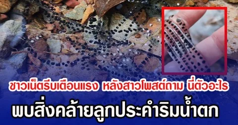 ชาวเน็ตรีบเตือนแรง หลังสาวโพสต์ถาม นี่ตัวอะไร พบสิ่งคล้ายลูกประคำริมน้ำตก