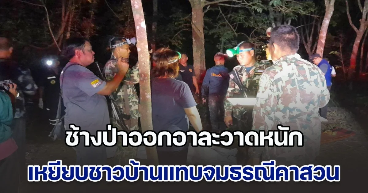 ช้างป่าออกอาละวาดหนัก เหยียบชาวบ้านแทบจมธรณีคาสวน หลานชายพยายามหอบร่าง พายื้อให้รอดชีวิต แต่ไม่สำเร็จ