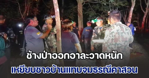 ช้างป่าออกอาละวาดหนัก เหยียบชาวบ้านแทบจมธรณีคาสวน หลานชายพยายามหอบร่าง พายื้อให้รอดชีวิต แต่ไม่สำเร็จ