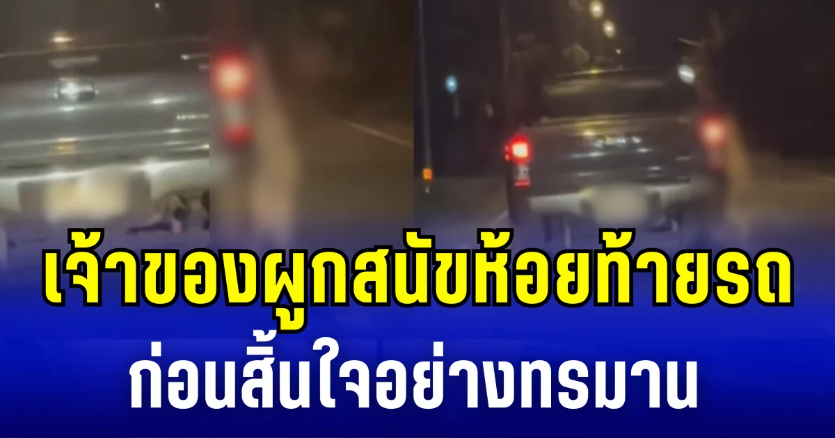 จิตใจทำด้วยอะไร! เจ้าของผูกสนัขห้อยท้ายรถ ก่อนสิ้นใจอย่างทรมาน