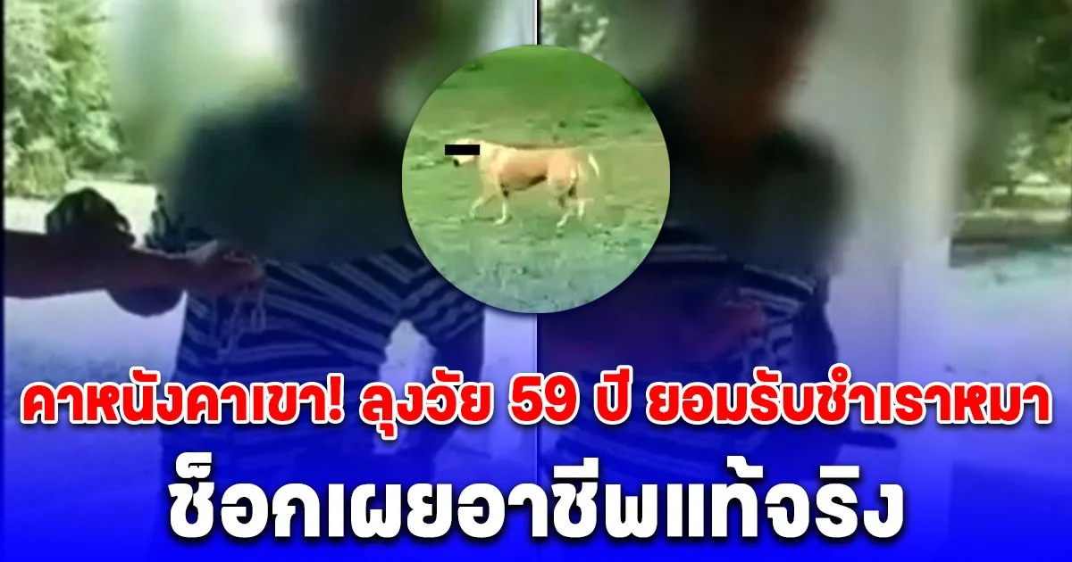คาหนังคาเขา! จับลุงวัย 59 ปี ยอมรับชำเราหมาในสวนสาธารณะ ช็อกเผยอาชีพแท้จริง