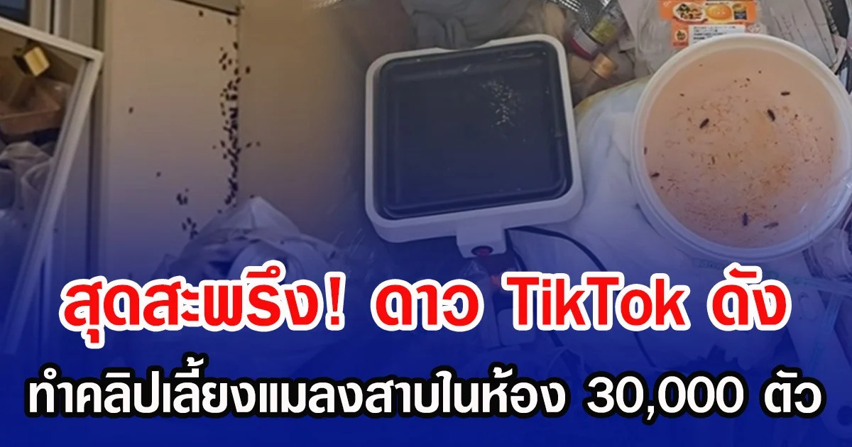 สุดสะพรึง! ดาว TikTok ดัง ทำคลิปเลี้ยงแมลงสาบในห้อง 30,000 ตัว (ข่าวต่างประเทศ)