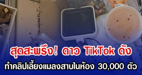 สุดสะพรึง! ดาว TikTok ดัง ทำคลิปเลี้ยงแมลงสาบในห้อง 30,000 ตัว (ข่าวต่างประเทศ)