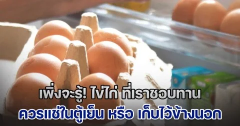 เพิ่งจะรู้! ไข่ไก่ ควรแช่ในตู้เย็น หรือ เก็บไว้ข้างนอก ถึงจะถูกต้อง หลายคนเข้าใจผิดมาตลอด