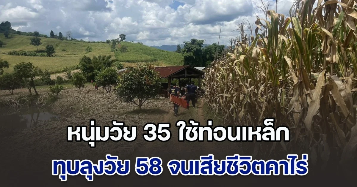 แค้นลูกเอามาลงที่พ่อ หนุ่มวัย 35 ใช้ท่อนเหล็กทุบลุงวัย 58 จนเสียชีวิตคาไร่ข้าวโพด