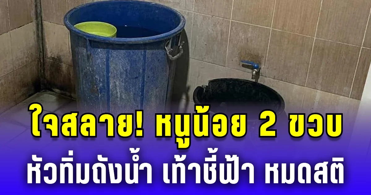 ใจสลาย! หนูน้อย 2 ขวบหัวทิ่มถังน้ำ เท้าชี้ฟ้า ญาติผงะพบหมดสติ เร่งส่งโรงพยาบาล