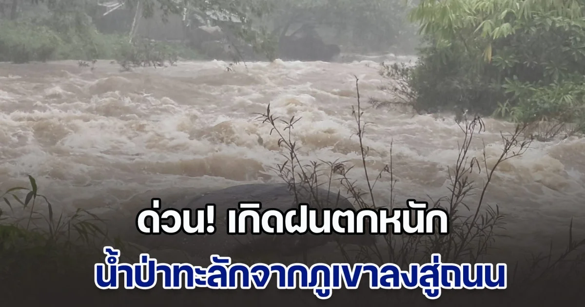 ด่วน! เกิดฝนตกหนัก น้ำป่าทะลักจากภูเขา ลงสู่ถนนสายตะกั่วป่า-สุราษฎร์ฯ