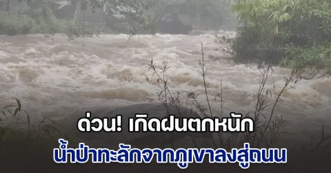 ด่วน! เกิดฝนตกหนัก น้ำป่าทะลักจากภูเขา ลงสู่ถนนสายตะกั่วป่า-สุราษฎร์ฯ