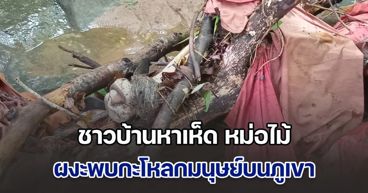 ชาวบ้านหาเห็ด หม่อไม้ ผงะพบกะโหลกมนุษย์บนภูเขา
