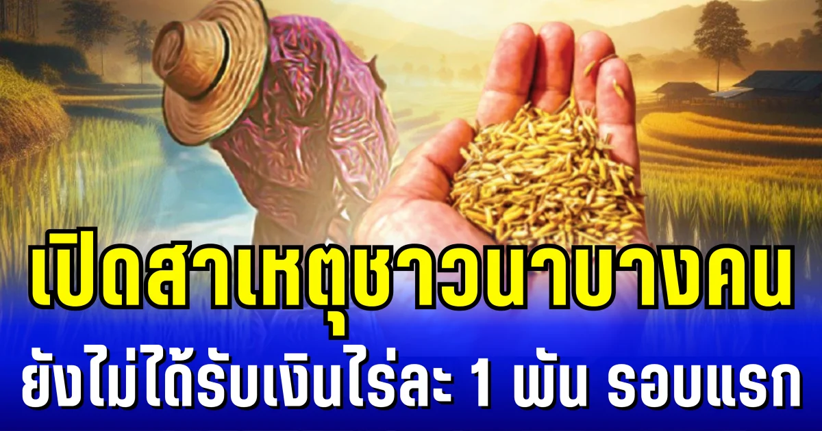 รู้เเล้วสาเหตุ ทำไมชาวนาบางคน ยังไม่ได้รับเงินไร่ละ 1 พัน รอบแรก