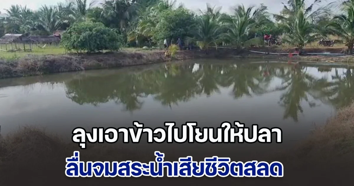 สลด! ลุงเป็นห่วงหมาไม่ยอมไปไหน สุดท้ายเอาข้าวไปโยนให้ปลา ลื่นจมสระน้ำดับ มือกำทัพพี-รองเท้าแน่น