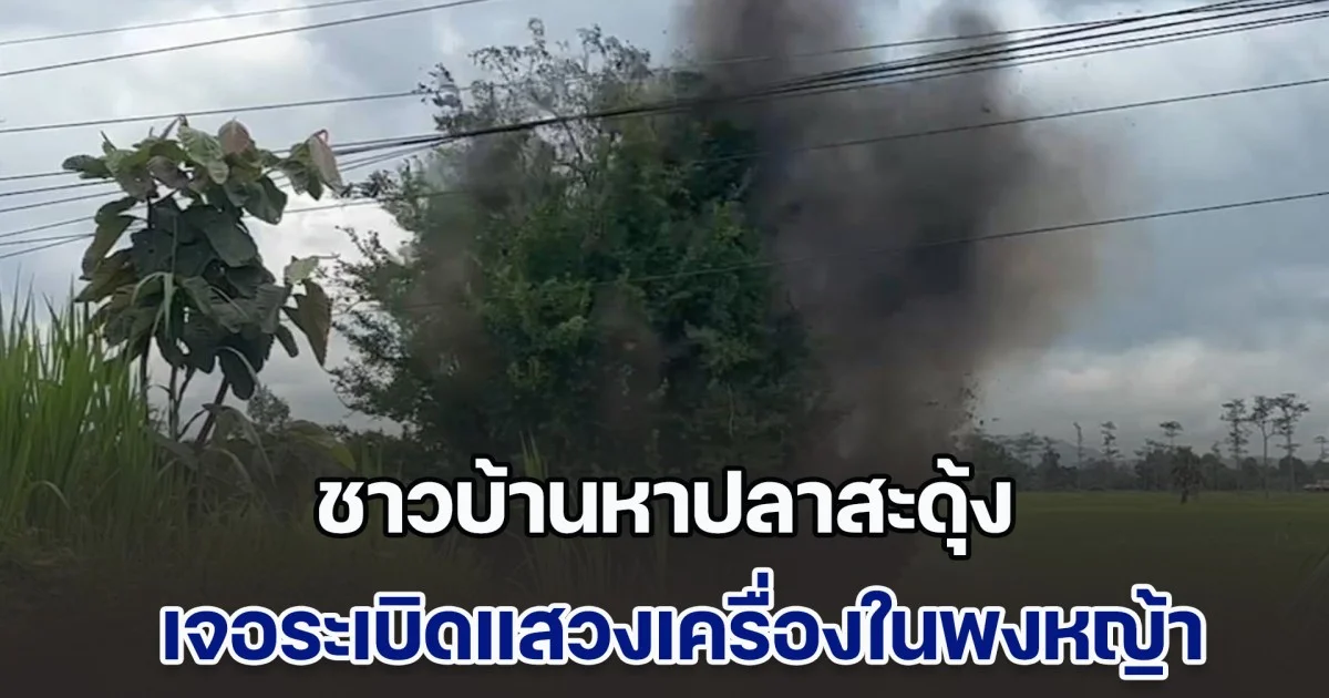 ยังมีอีก! ชาวบ้านหาปลาสะดุ้ง เจอระเบิดแสวงเครื่องในพงหญ้าข้างถนน