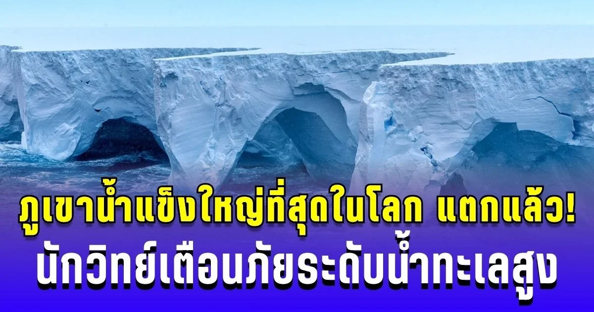 สิ้นสุดตำนาน ภูเขาน้ำแข็งใหญ่ที่สุดในโลก แตกแล้ว! หลังลอยตัว 40 ปี นักวิทย์เตือนภัยระดับน้ำทะเลสูงในอนาคต