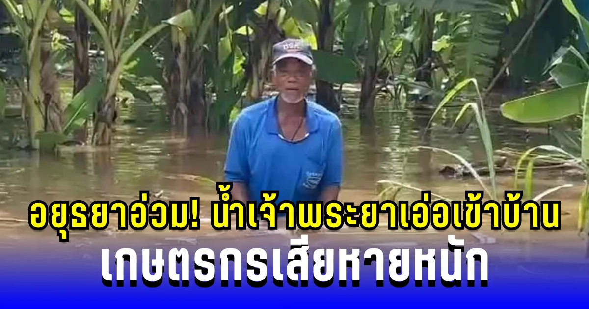 อยุธยาอ่วม! น้ำเจ้าพระยาเอ่อเข้าบ้าน สวนกล้วย สวนพริก เสียหายหนัก
